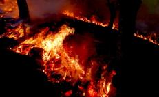 Declara Federación en emergencia a 13 municipios de Oaxaca a causa de incendios forestales 