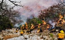 Tras 6 días de combate, liquidan al 100% incendio forestal en Jaltepec, en la Mixteca de Oaxaca 