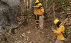 Controlan al 100% incendio forestal en Teojomulco, en la Sierra Sur de Oaxaca; hay 7 activos 