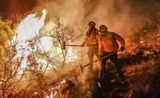 Brigadistas forestales de Oaxaca celebraban su día combatiendo 5 incendios activos