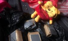 Decomisan oso de peluche con cartuchos para arma larga en un autobús en Oaxaca