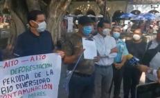 Ambientalistas de Oaxaca advierten “ecocidio” de mil 500 árboles en la capital, por obras en Símbolos Patrios 