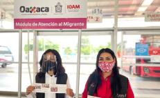 Instalan módulo de atención al migrante en la capital; se espera retorno de hasta 50 mil oaxaqueños