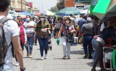Reportan 437 nuevos casos de Covid-19 en 82 municipios de Oaxaca; hospitalizan a 39 personas más 
