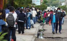 Responden miles a llamado para vacunación emergente contra Covid-19 en la ciudad de Oaxaca