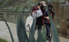 Reportan 150 nuevos decesos por Covid-19 en Oaxaca en la última semana; confirman semáforo amarillo
