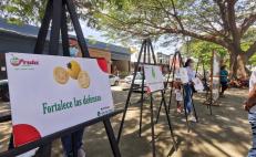 Buscan crear conciencia sobre la sana alimentación con exposición en Juchitán 