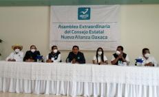 Considera Panal opciones para elección de 2022 en Oaxaca