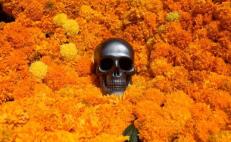 Día de Muertos. Ofrendas en Oaxaca, un ritual distinto por región