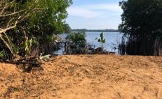 Denuncian devastación por obra turística en manglar de la Laguna de Manialtepec, en la Costa de Oaxaca