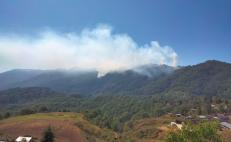 Incendio forestal avanza en Yosoyuxi, en la Mixteca de Oaxaca; brigadas no ingresan por ser zona de conflicto 