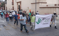 Piden consumidores de cannabis “espacios de igualdad” y libre cultivo en la ciudad de Oaxaca