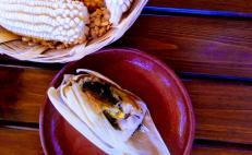 Cocineras de Oaxaca preservan tradición de los tamales en Día de la Candelaria 