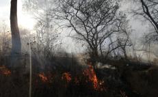 Tres nuevos incendios en San Vicente Coatlán, Oaxaca, ponen en riesgo diálogo con Sola de Vega