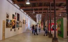 Los espacios iniciados en prisiones por el artista Francisco Toledo inaugurarán muestras artísticas
