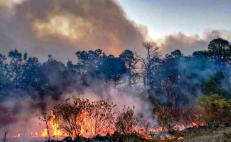 Apagan incendio forestal en Santa María Peñoles, Oaxaca; fuego en Tepejillo, controlado a 95%