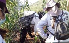 Comisión de búsqueda de desaparecidos en Oaxaca localiza restos humanos en cercanías de Monte Albán
