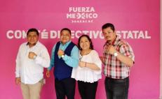 Confirma tribunal federal que líder de Fuerza por México en Oaxaca ejerció violencia política de género