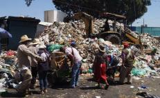 La zona centro de la ciudad de Oaxaca comenzó a llenarse de basura, a un día sin servicio de recolección.