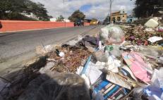 Reinician recolección de basura en ciudad de Oaxaca; piden a capitalinos aprender a manejar sus residuos