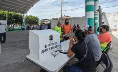 Da PREP ventaja a PVEM en 3 de 7 municipios de Oaxaca, tras elecciones extraordinarias