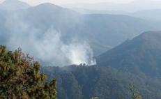 Incendio forestal arrasa con más de 50 hectáreas de bosque protegido en Juxtlahuaca.