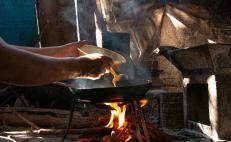Tortitas de camarón y pescado oreado en mole, platillos de Semana Santa en la Mixteca y la Costa de Oaxaca