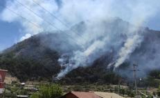 Deja incendio forestal cuatro muertos en Magdalena Peñasco, en la Mixteca de Oaxaca