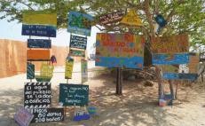 Apelará inmobiliaria suspensión de obra de 80 departamentos en playa de Puerto Escondido, Oaxaca