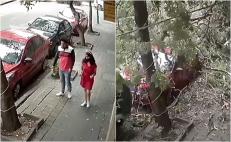 VIDEO. Pareja se salva de ser aplastada por un árbol tras fuertes vientos