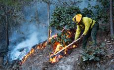 Hay temporadas en incendios en las que los combatientes dejan a sus familias para salvar a los bosques y su biodiversidad.