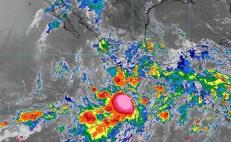 La tormenta tropical Celia se ubica al sur-suroeste de Lagunas de Chacahua, Oaxaca, y al sur de Acapulco, Guerrero.