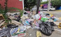 Recolectará Oaxaca de Juárez sólo residuos orgánicos; tras rechazo a prórroga para cerrar basurero