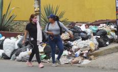 Ante crisis de la basura en la ciudad de Oaxaca, “falta educación ambiental y coordinación entre expertos y ediles”