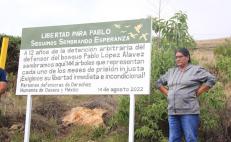 Siembran 144 árboles en Oaxaca para exigir la liberación de Pablo López, defensor del bosque