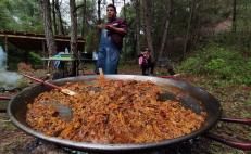 Hongos, protagonistas de la identidad culinaria de la Mixteca, "la gran cocina no reconocida de Oaxaca” 