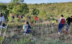 Con reforestación masiva de 6 mil árboles, Huajuapan busca enfrentar sequía en la Mixteca de Oaxaca