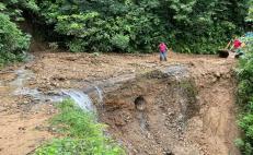 Caminos de sierra zapoteca-mixe de Oaxaca “llevan años sin mantenimiento”, acusa edil; exige atención de CAO