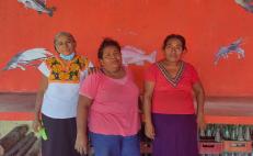 Pescadoras afro e indígenas de Oaxaca, las guardianas del manglar; han rescatado tres km
