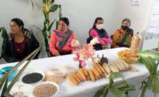 Promueven sustituir agroquímicos con abonos orgánicos en Feria del Maíz de Zimatlán, Oaxaca