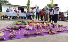 Realizan ofrenda al maíz nativo en Siniyuvi, Oaxaca, con música, concursos y gastronomía