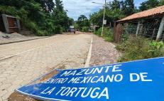 Con red de apoyo solidario, productores de la Costa de Oaxaca sobreviven a lenta economía tras Agatha