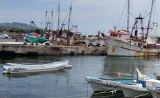 Camaroneros resisten “naufragio” de industria pesquera en Oaxaca: recortan apoyos por 623 mdp y vigilancia