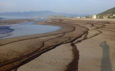 Congreso de Oaxaca pide al gobierno federal y a Pemex atender afectaciones por derrame en ríos y playas del Istmo
