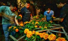 Zapotecas del Istmo de Oaxaca celebran el Biye’, ofrenda de Muertos construida sólo por hombres