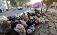 Ciudad de Oaxaca solicitó a Cofepris declarar "emergencia sanitaria" ante gravedad de crisis de la basura: edil