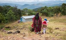 Urgen a Jara reconocer a indígenas sin folclorizarlos; pese a ser mayoría en Oaxaca, no hay políticas públicas