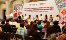 Ley de Amnistía y aborto en todos los hospitales de Oaxaca, Agenda Prioritaria de Jara en DDHH