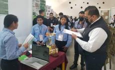 Estudiantes de la Mixteca de Oaxaca presentarán un detergente de sábila en feria científica de Brasil