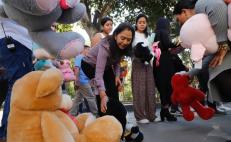 DIF Oaxaca se fija la meta de recabar 1 km de juguetes por día hasta el 5 de enero